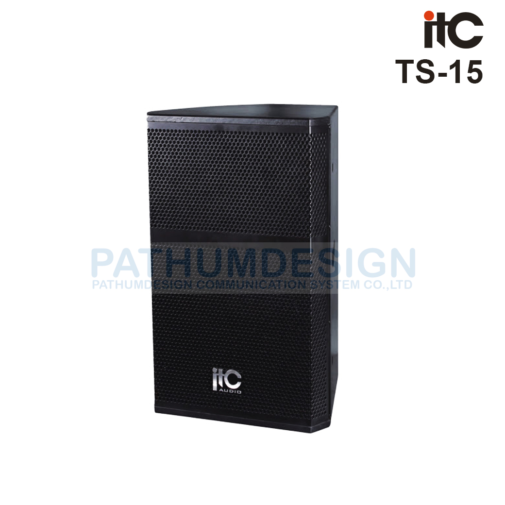 TS-15 Professional Two Way Loudspeaker